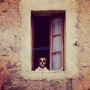 Meet your Posher, Niki